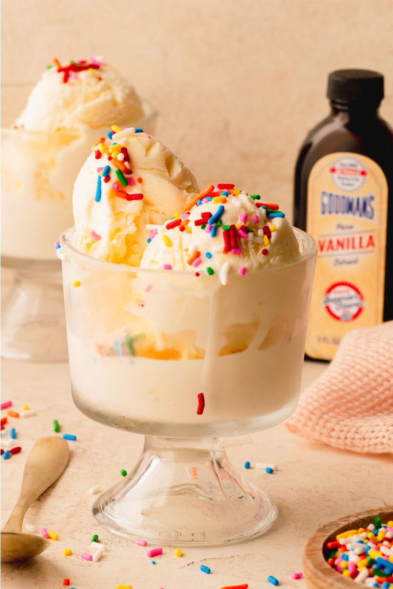 Grandma-Mina_s-Homemade-Ice-Cream-Scoops