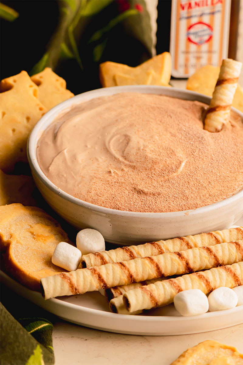Hot-Cocoa-Dip-with-Product-in-background
